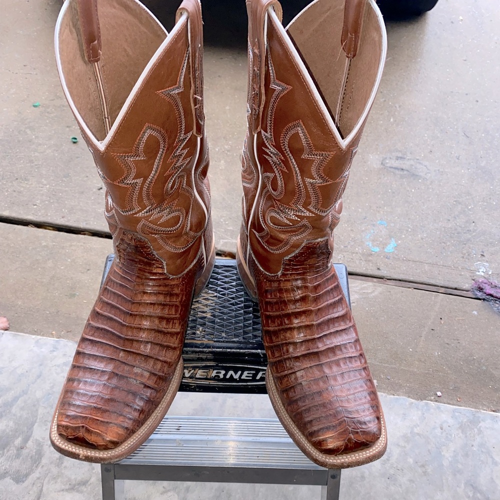 Cody James crocodile 12D